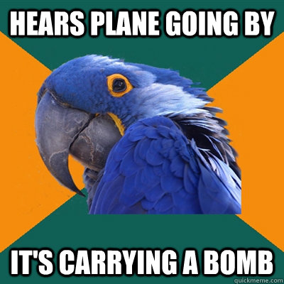 Hears plane going by  It's carrying a bomb   Paranoid Parrot