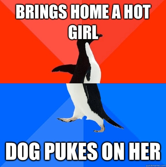 Brings home a hot girl  Dog pukes on her  Socially Awesome Awkward Penguin