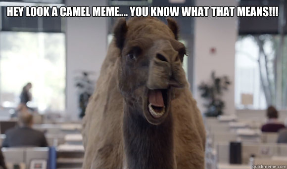 Hey look a camel meme.... you know what that means!!! - Hey look a camel meme.... you know what that means!!!  hump day