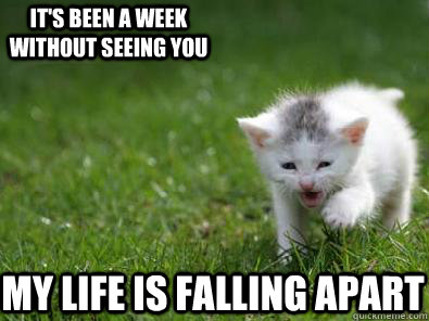 my life is falling apart It's been a week without seeing you - my life is falling apart It's been a week without seeing you  Grass Cat
