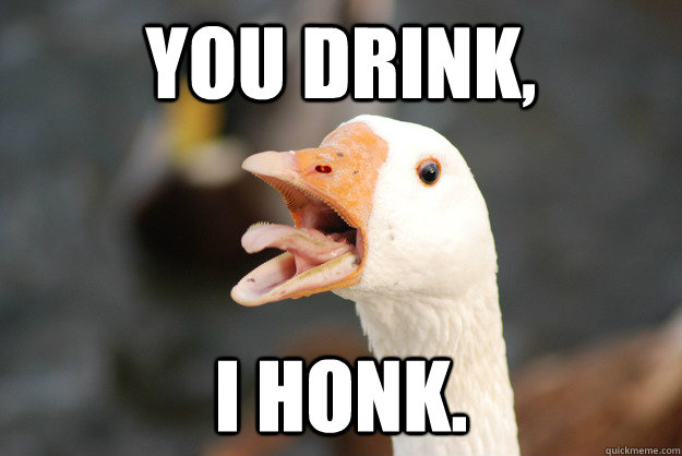 You drink, I honk. - You drink, I honk.  Party Goose