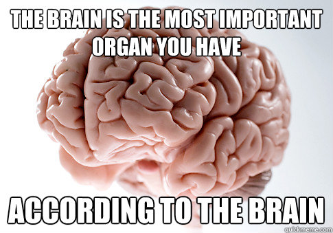 the brain is the most important organ you have according to the brain - the brain is the most important organ you have according to the brain  Scumbag Brain