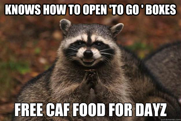 knows how to open 'to go ' boxes free caf food for dayz  Evil Plotting Raccoon