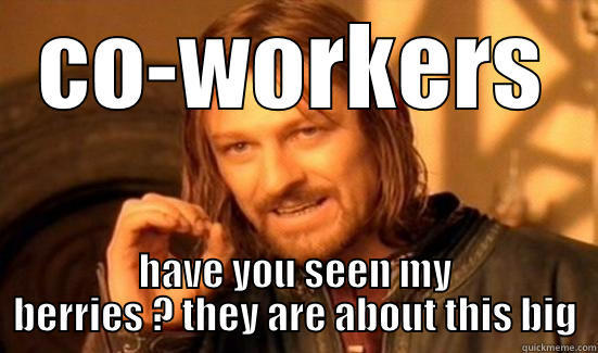 CO-WORKERS HAVE YOU SEEN MY BERRIES ? THEY ARE ABOUT THIS BIG Boromir