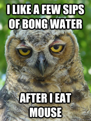 i like a few sips of bong water after i eat mouse - i like a few sips of bong water after i eat mouse  Stoner Owl