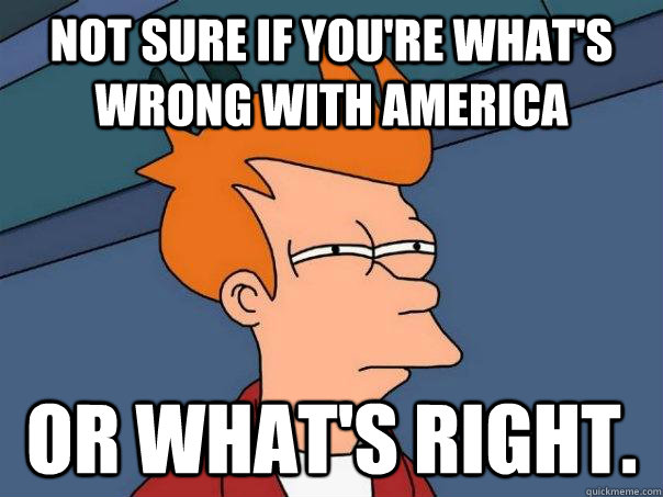 Not sure if you're what's wrong with America or what's right.  - Not sure if you're what's wrong with America or what's right.   Futurama Fry