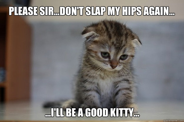 Please sir...Don't slap my hips again... ...I'll be a good kitty... - Please sir...Don't slap my hips again... ...I'll be a good kitty...  Sad Kitten