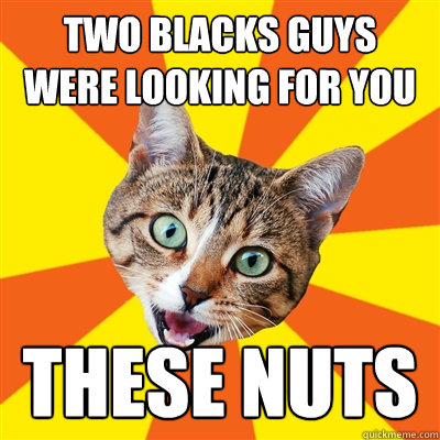 two blacks guys were looking for you  these nuts  Bad Advice Cat