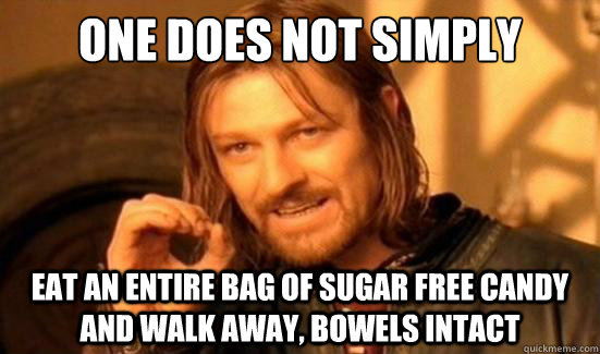 One Does Not Simply eat an entire bag of sugar free candy and walk away, bowels intact  Boromir