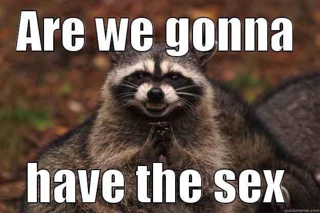 ARE WE GONNA HAVE THE SEX Evil Plotting Raccoon