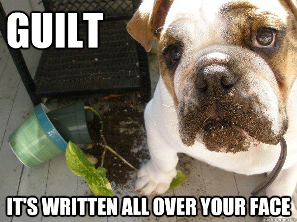 GUILT It's written all over your face - GUILT It's written all over your face  Guilt Dog