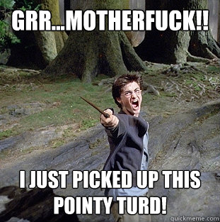 GRR...MOTHERFUCK!! I just picked up this pointy turd!   Pissed off Harry
