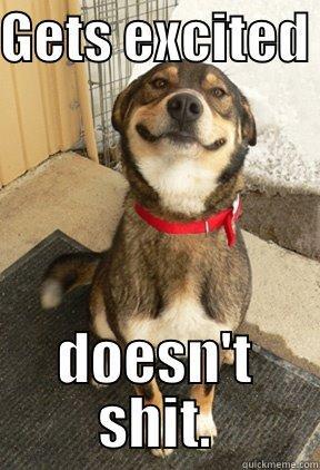 GETS EXCITED  DOESN'T SHIT. Good Dog Greg