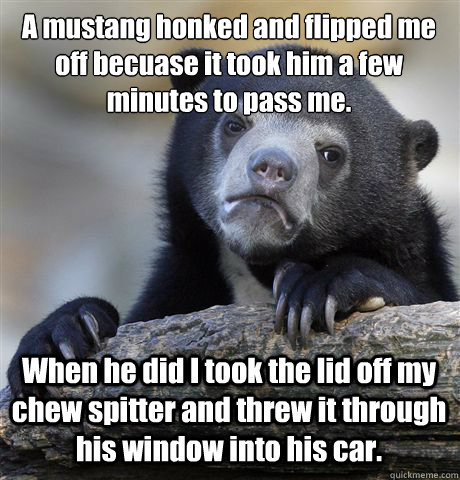 A mustang honked and flipped me off becuase it took him a few minutes to pass me. When he did I took the lid off my chew spitter and threw it through his window into his car.  Confession Bear