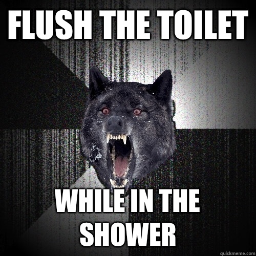 Flush the toilet While in the shower  Insanity Wolf
