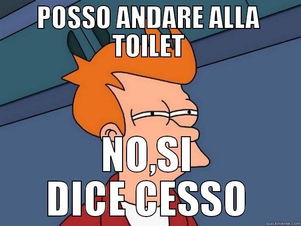 POSSO ANDARE ALLA TOILET NO,SI DICE CESSO Futurama Fry