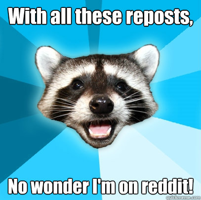 With all these reposts, No wonder I'm on reddit!  Lame Pun Coon