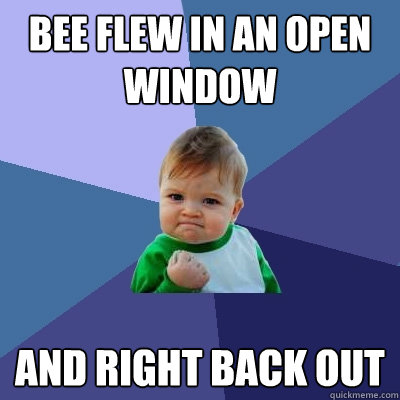 Bee flew in an open window and right back out  Success Kid