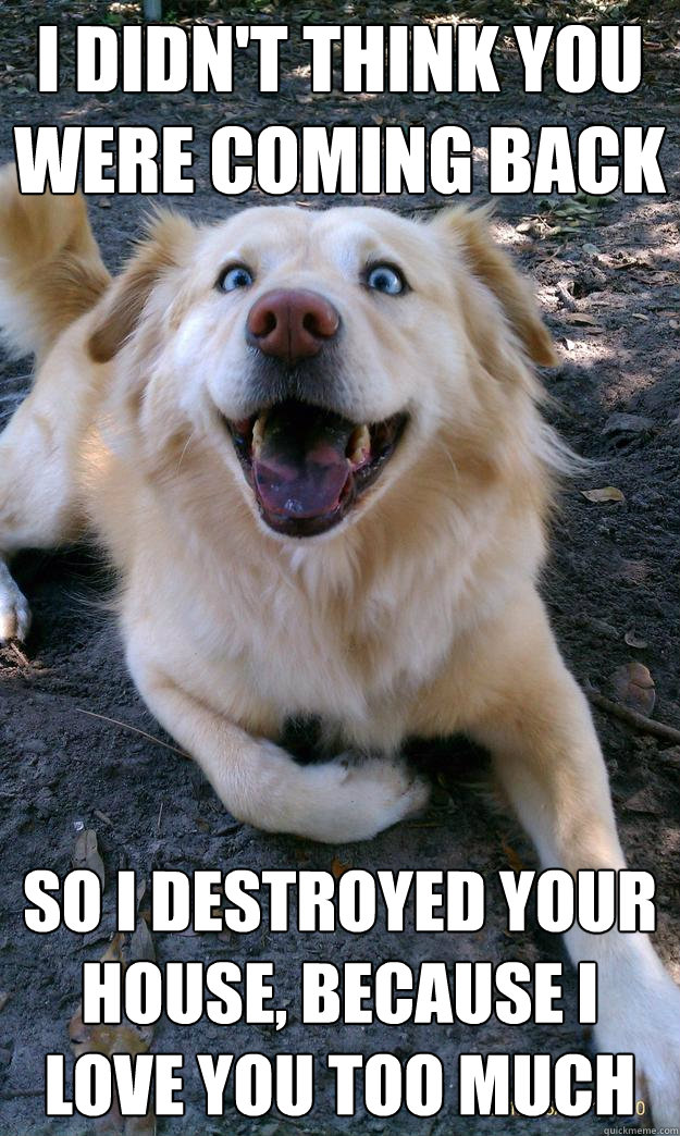 I didn't think you were coming back So I destroyed your house, because I love you too much  Overly Attached Dog