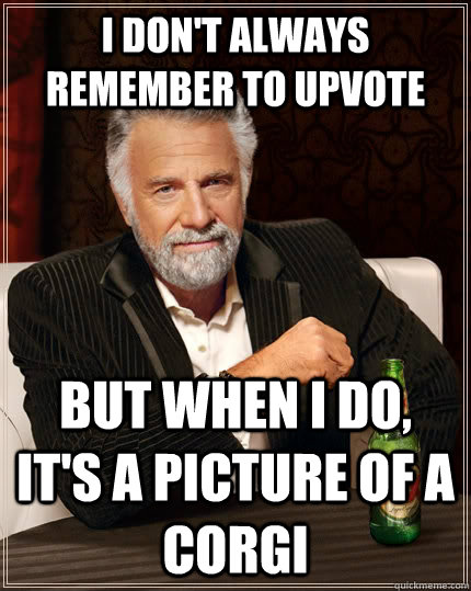 I don't always remember to upvote But when I do, it's a picture of a corgi  The Most Interesting Man In The World