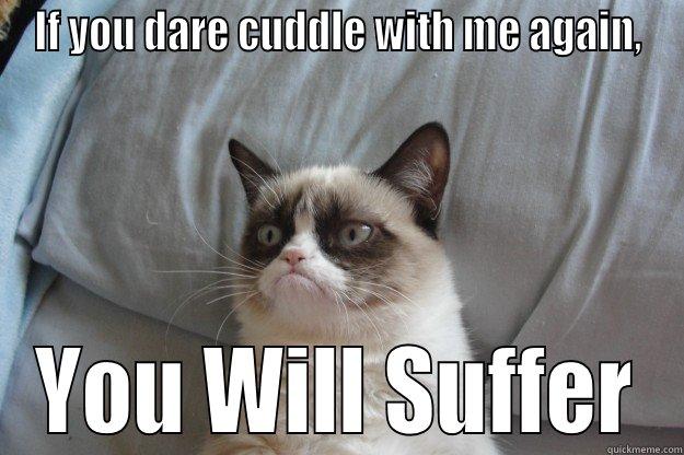 IF YOU DARE CUDDLE WITH ME AGAIN, YOU WILL SUFFER Grumpy Cat