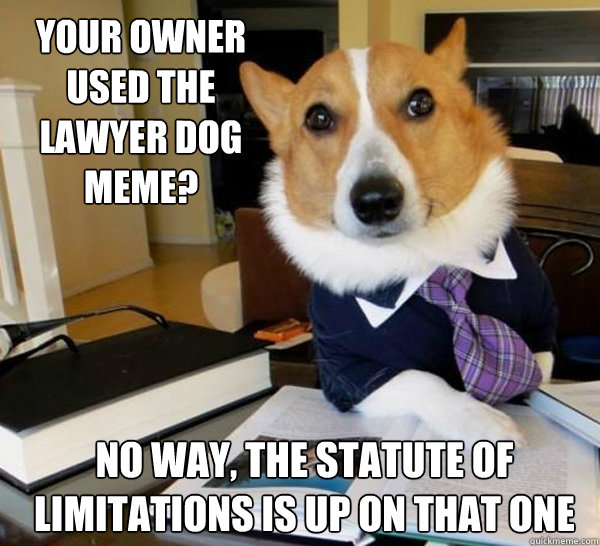 Your owner used the Lawyer Dog meme? No way, the statute of limitations is up on that one - Your owner used the Lawyer Dog meme? No way, the statute of limitations is up on that one  Lawyer Dog