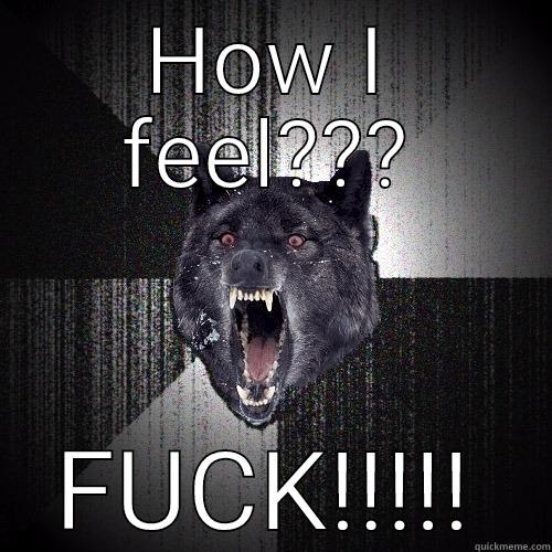 HOW I FEEL??? FUCK!!!!! Insanity Wolf