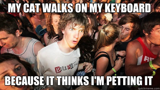 My cat walks on my keyboard because it thinks i'm petting it  Sudden Clarity Clarence