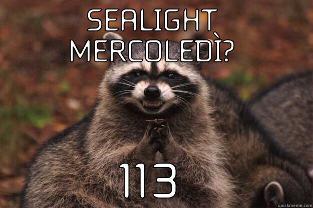 SEALIGHT MERCOLEDÌ? 113 Evil Plotting Raccoon
