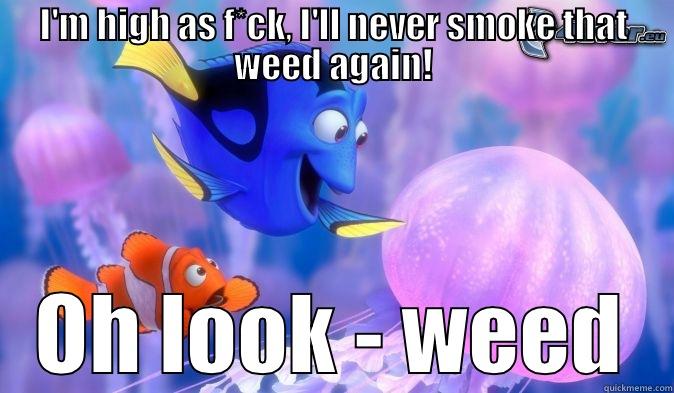 I'M HIGH AS F*CK, I'LL NEVER SMOKE THAT WEED AGAIN! OH LOOK - WEED Misc
