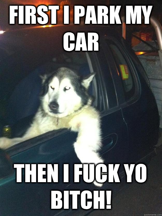 First I park my car Then I fuck yo bitch!  Mean Dog