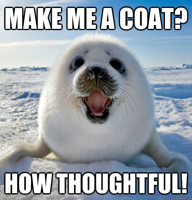 Make me a coat? How thoughtful! - Make me a coat? How thoughtful!  Naive Seal Cub