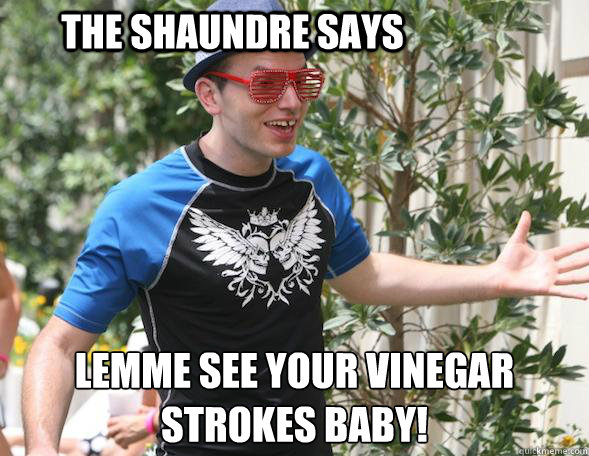 THE SHAUNDRE SAYS LEMME SEE YOUR VINEGAR STROKES BABY!              