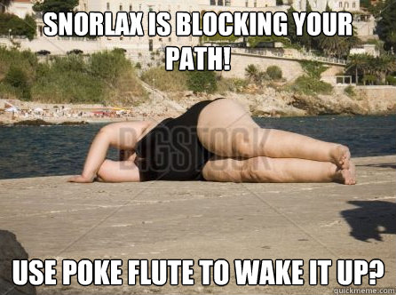 Snorlax is blocking your path! Use Poke Flute to wake it up? - Snorlax is blocking your path! Use Poke Flute to wake it up?  Snorlax Path