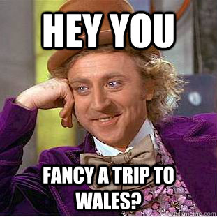 Hey you fancy a trip to wales?  Condescending Wonka