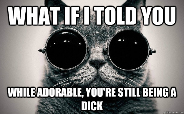 What if i told you While adorable, you're still being a dick  Morpheus Cat Facts