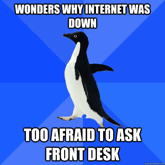 wonders why internet was down too afraid to ask front desk  Socially Awkward Penguin