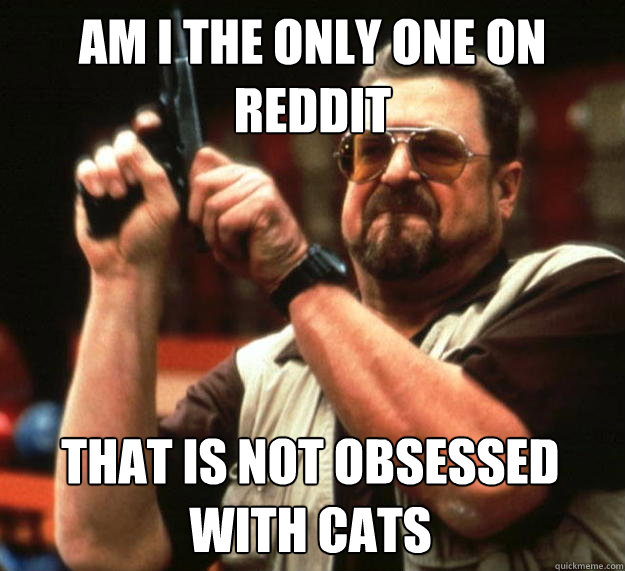 am I the only one on reddit That is not obsessed with cats  Angry Walter