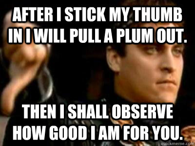 After I stick my thumb in I will pull a plum out. Then I shall observe how good I am for you.  Downvoting Roman