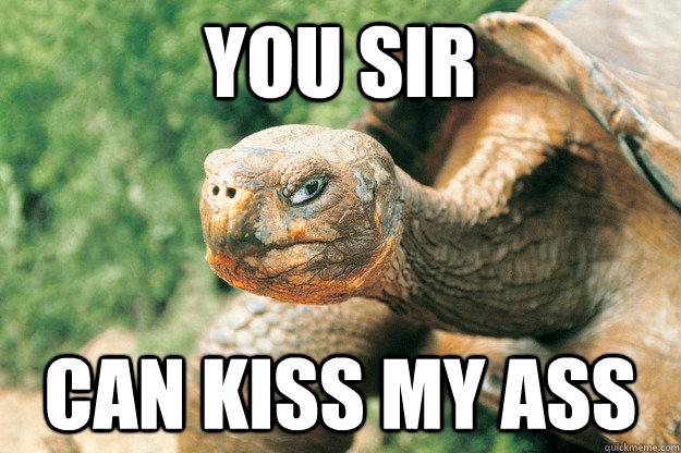 You Sir Can kiss my ass - You Sir Can kiss my ass  Lonesome George