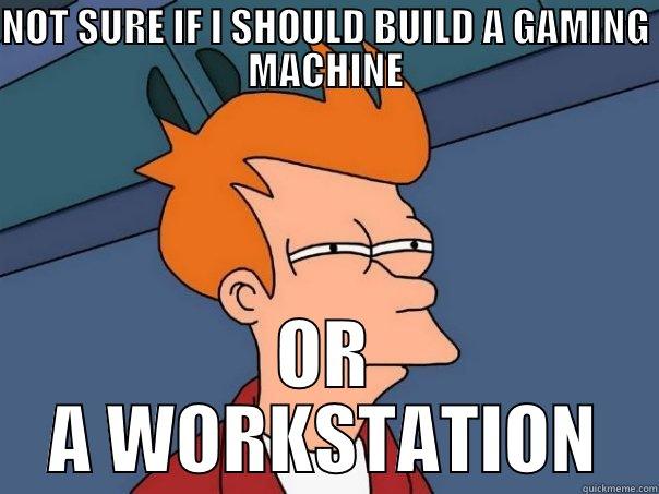 NOT SURE IF I SHOULD BUILD A GAMING MACHINE OR A WORKSTATION Futurama Fry