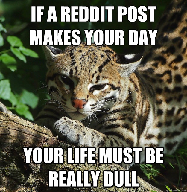 If a reddit post makes your day your life must be really dull - If a reddit post makes your day your life must be really dull  Opinion Ocelot