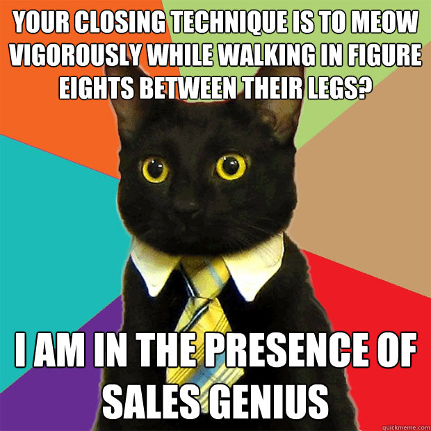 your closing technique is to meow vigorously while walking in figure eights between their legs? I am in the presence of sales genius - your closing technique is to meow vigorously while walking in figure eights between their legs? I am in the presence of sales genius  Business Cat