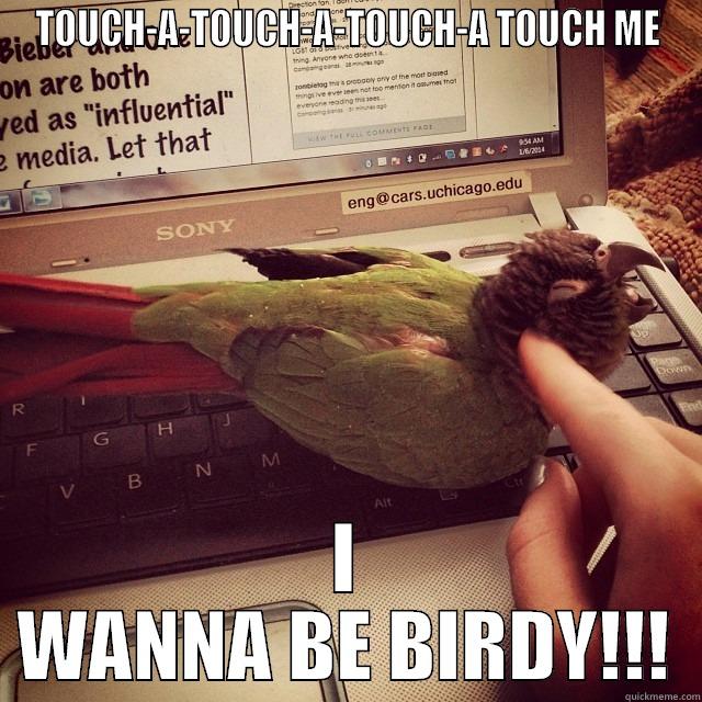 singin' bird - TOUCH-A-TOUCH-A-TOUCH-A TOUCH ME I WANNA BE BIRDY!!! Misc