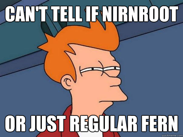 can't tell if nirnroot or just regular fern  Futurama Fry