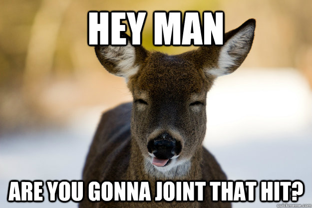 HEY MAN ARE YOU GONNA JOINT THAT HIT? - HEY MAN ARE YOU GONNA JOINT THAT HIT?  Stoned Deer