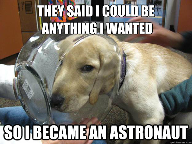 they said I could be
 anything I wanted so i became an astronaut - they said I could be
 anything I wanted so i became an astronaut  Fishbowl Dog