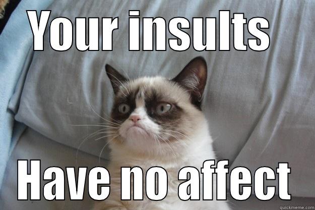 YOUR INSULTS  HAVE NO AFFECT Grumpy Cat