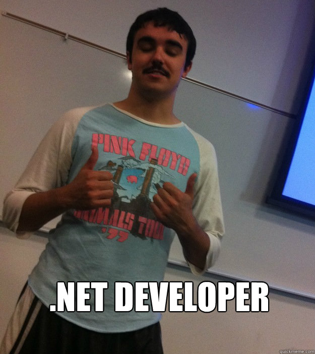 .net developer - .net developer  developer