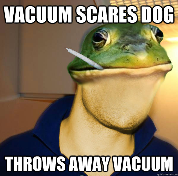 vacuum scares dog Throws away vacuum - vacuum scares dog Throws away vacuum  Good Guy Foul Bachelor Frog